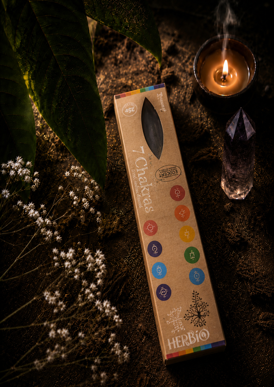 7 Chakras